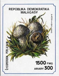 Madagascar N° BF069 Obli