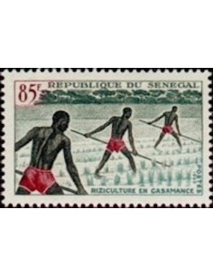 Senegal N° 0257 Obli