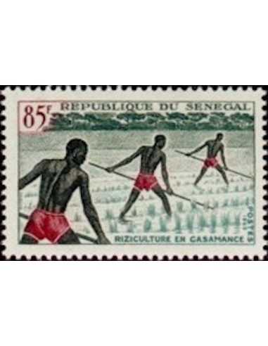 Senegal N° 0257 Obli
