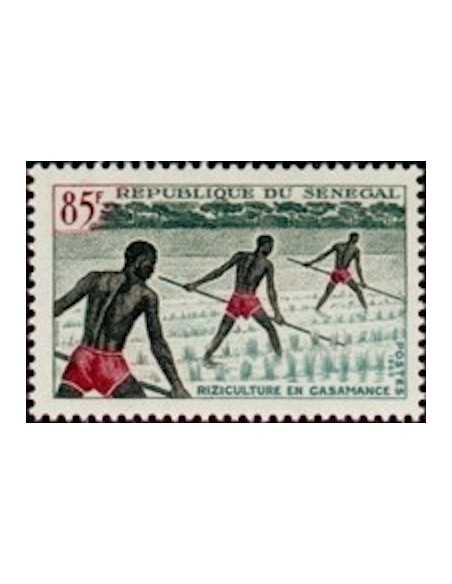 Senegal N° 0257 Obli