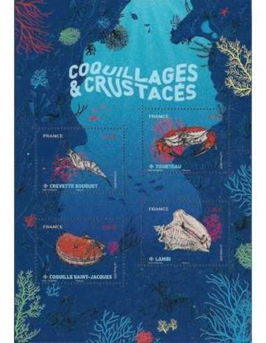 Feuille N°  5557 N **