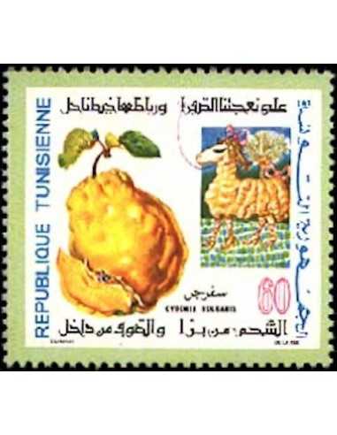 Tunisie N° 0706 obli