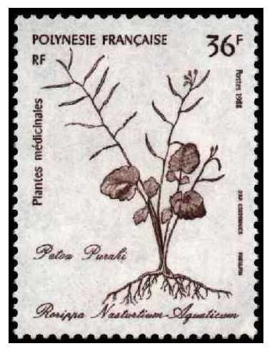 Pol N° 316  Neuf *