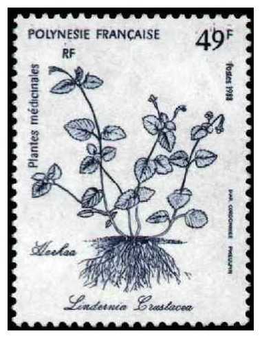 Pol N° 317  Neuf *