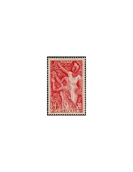 Guadeloupe N° 211 N *