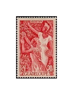Guadeloupe N° 211 Obli
