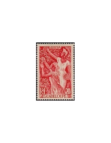 Guadeloupe N° 211 Obli