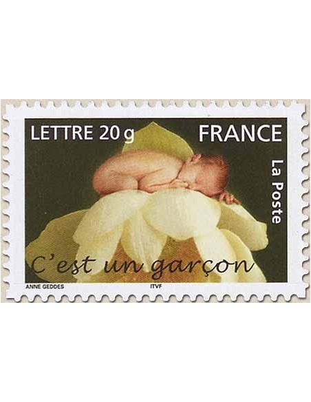 FR N° 3805 N**