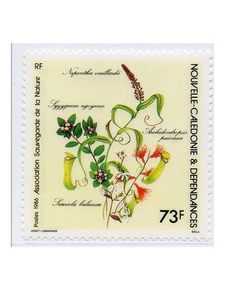 Nouv Cal N° 0527 N**