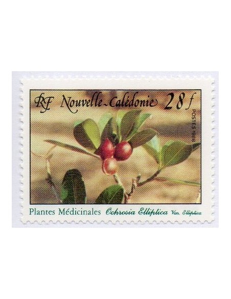 Nouv Cal N° 0556 N**