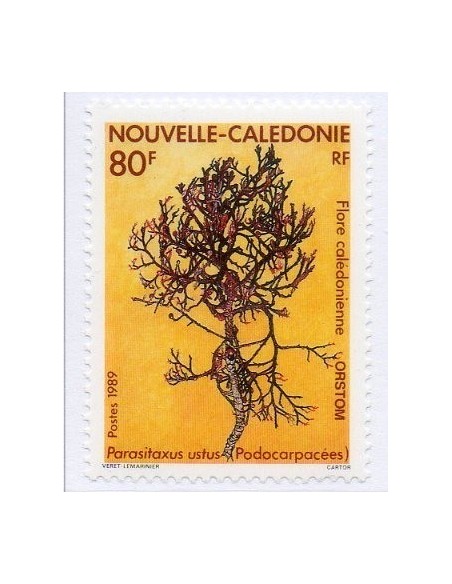 Nouv Cal N° 0574 N**