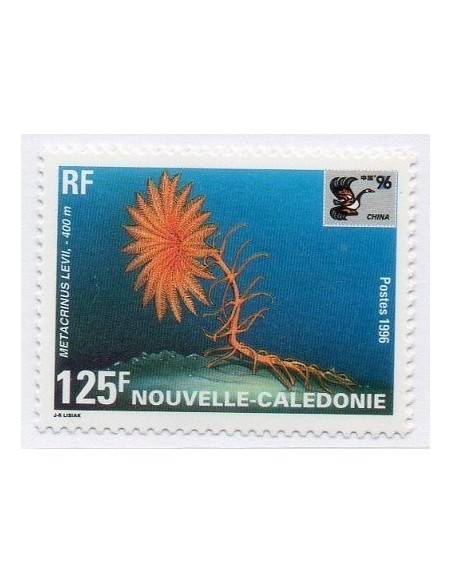 Nouv Cal N° 0713 N**