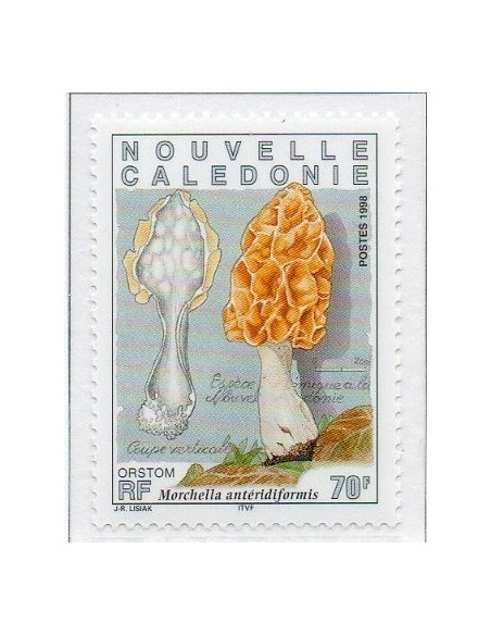 Nouv Cal N° 0749 N**