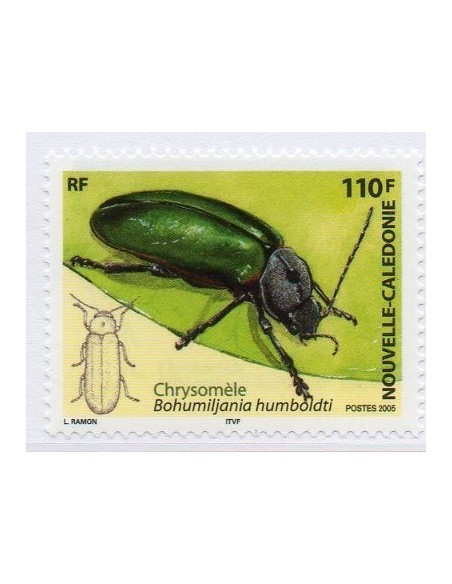 Nouv Cal N° 0962 N**