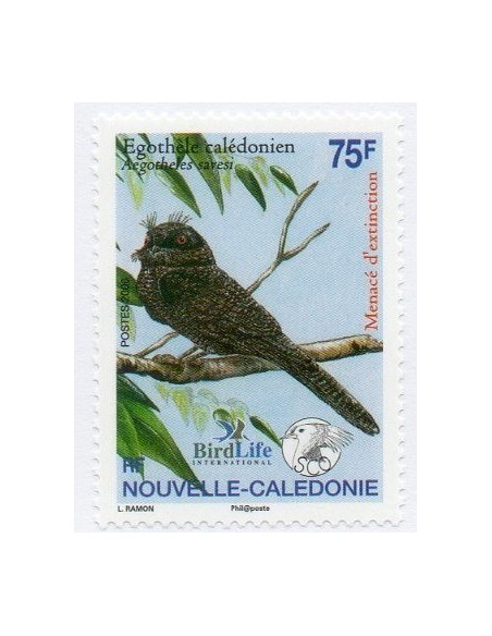 Nouv Cal N° 0979 N**