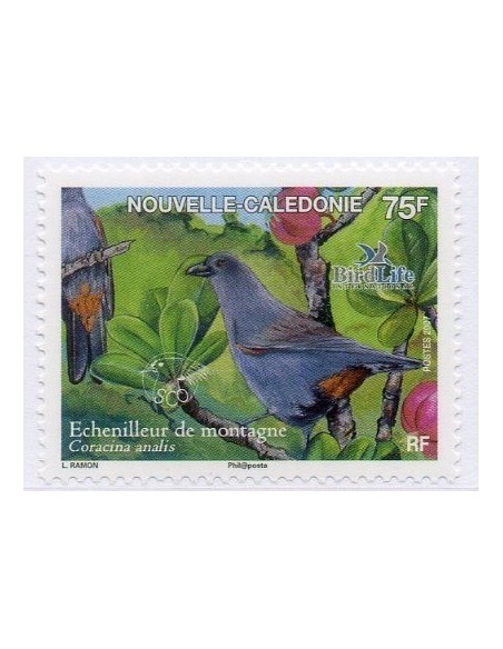 Nouv Cal N° 1005 N**