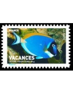 FR N° 4038 N**