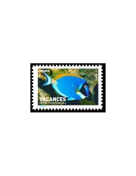 FR N° 4038 N**