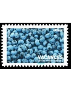 FR N° 4040 N**