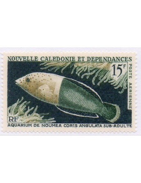 Nouv Cal N° PA082 N**