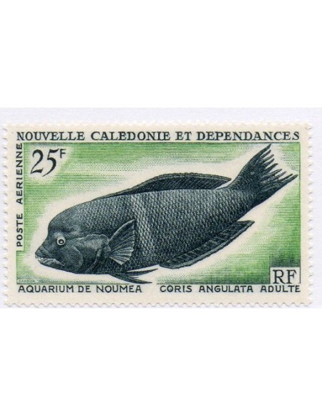 Nouv Cal N° PA 083 N**