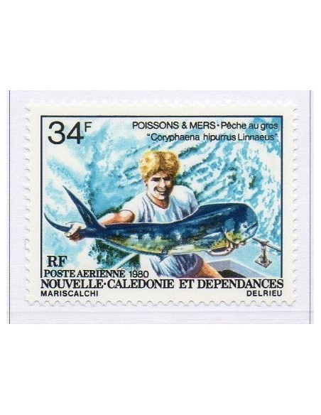 Nouv Cal N° PA202 N**