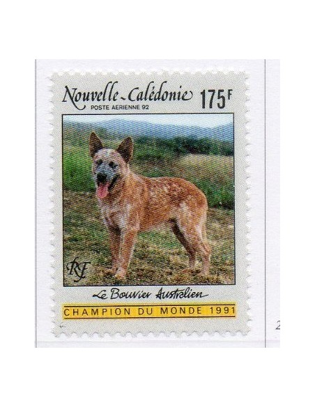 Nouv Cal N° PA 288 N**