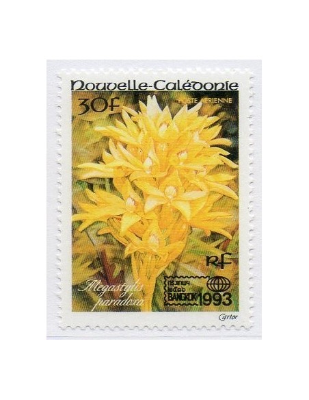 Nouv Cal N° PA304 N**