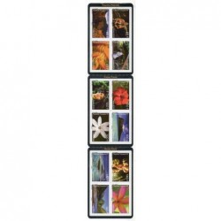 Pol carnet N° 844