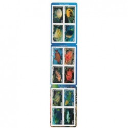 Pol carnet N° 882