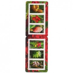 Pol carnet N° 984