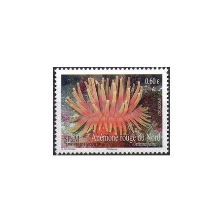 ST Pierre & Miquelon N° 1037 Neuf **