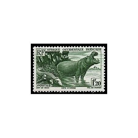 Afr Oci Fra N° 31 N*