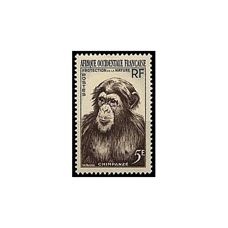 Afr Oci Fra N° 51 N*