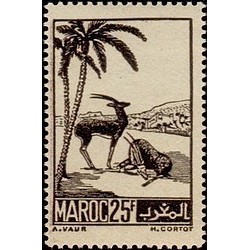 MAROC N° 237 N **