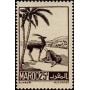 MAROC N° 237 N *