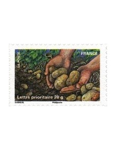 Autoadh Neuf ** N° 533