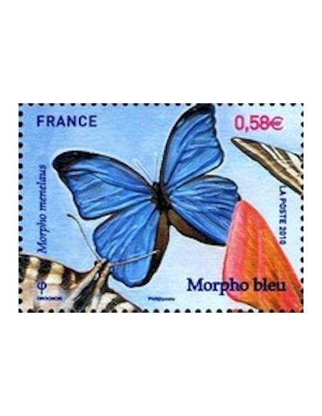FR N° 4498 N**