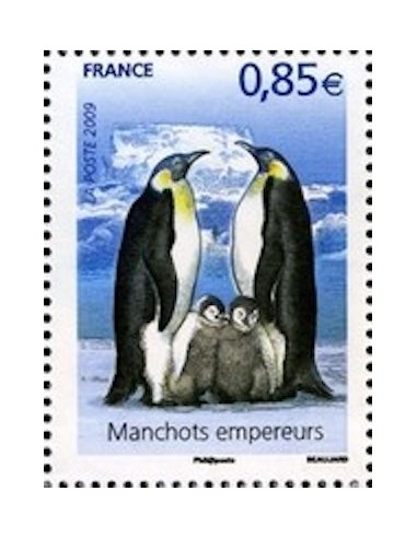 FR N° 4351 N**