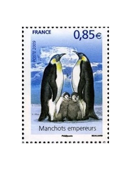 FR N° 4351 N**