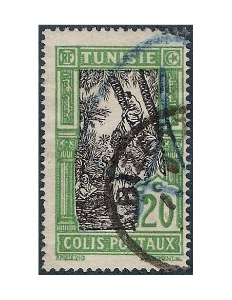 Tunisie CP N° 13 Obli