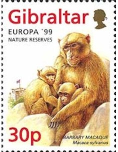 Gibraltar N° 0853 N**