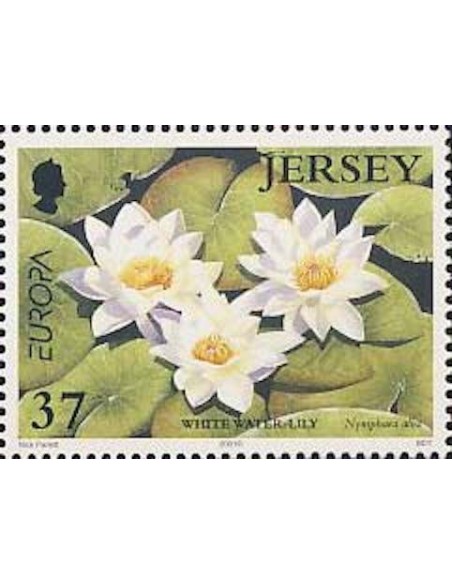 Timbre Poste Europa Ile de Jersey N° 0985 N** philatelie foxtimbre