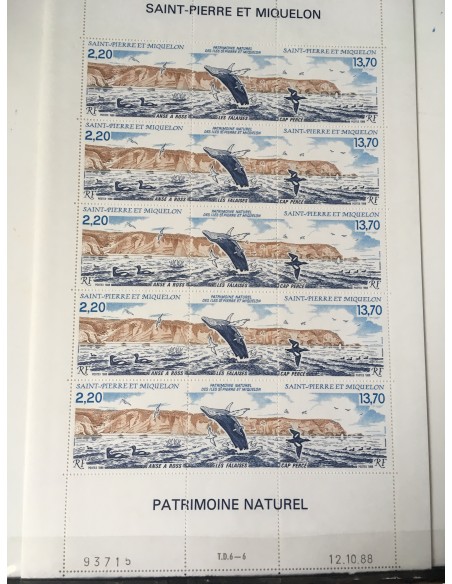 Feuille du SPM N° 495A