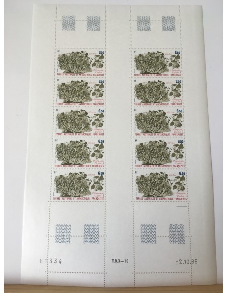 Feuille du TAAF N° 126