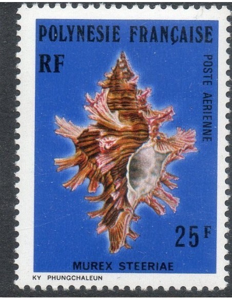 Pol PA N° 114 NC